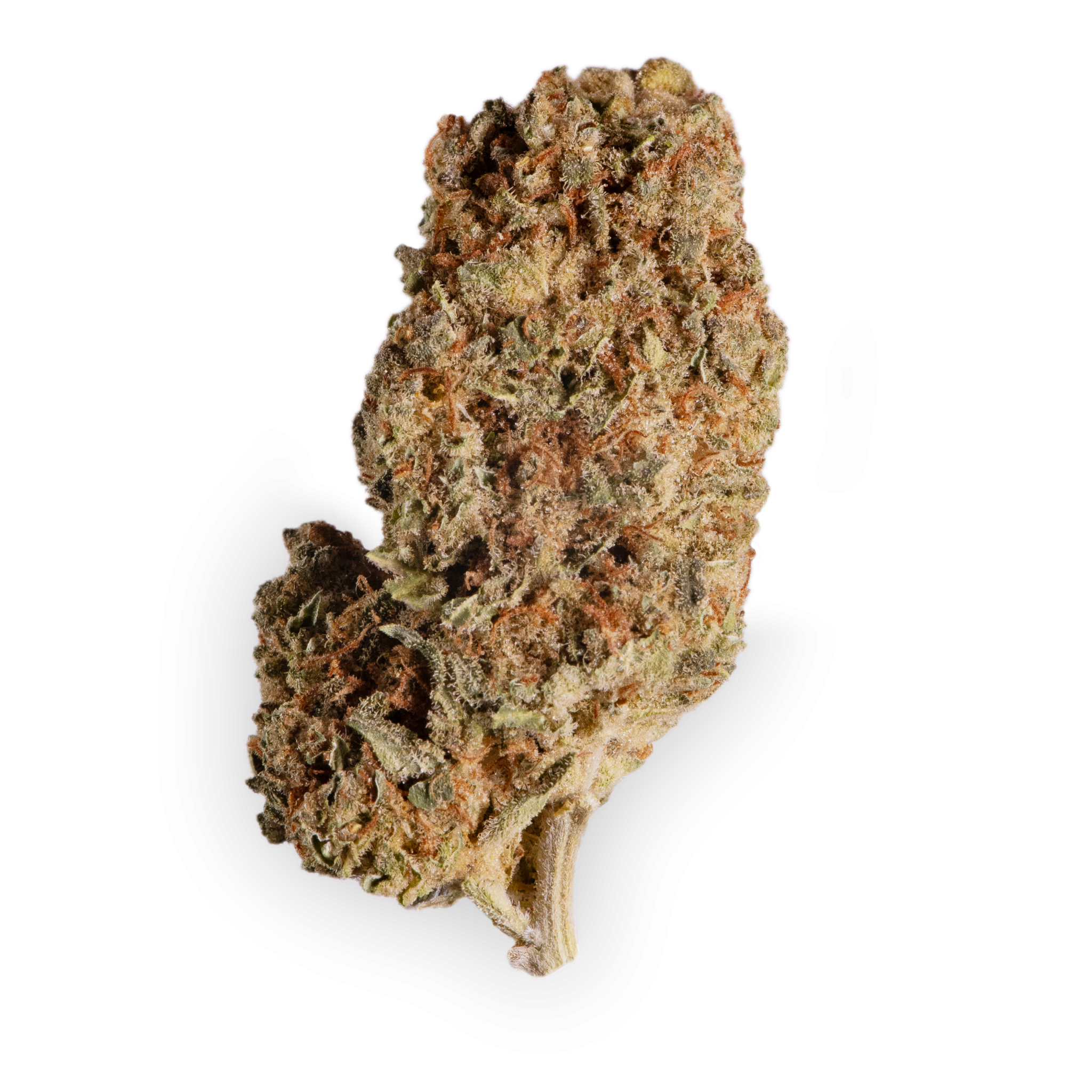 Gelato • Strain Wirkung & Besonderheiten Bestellen Bloomwell