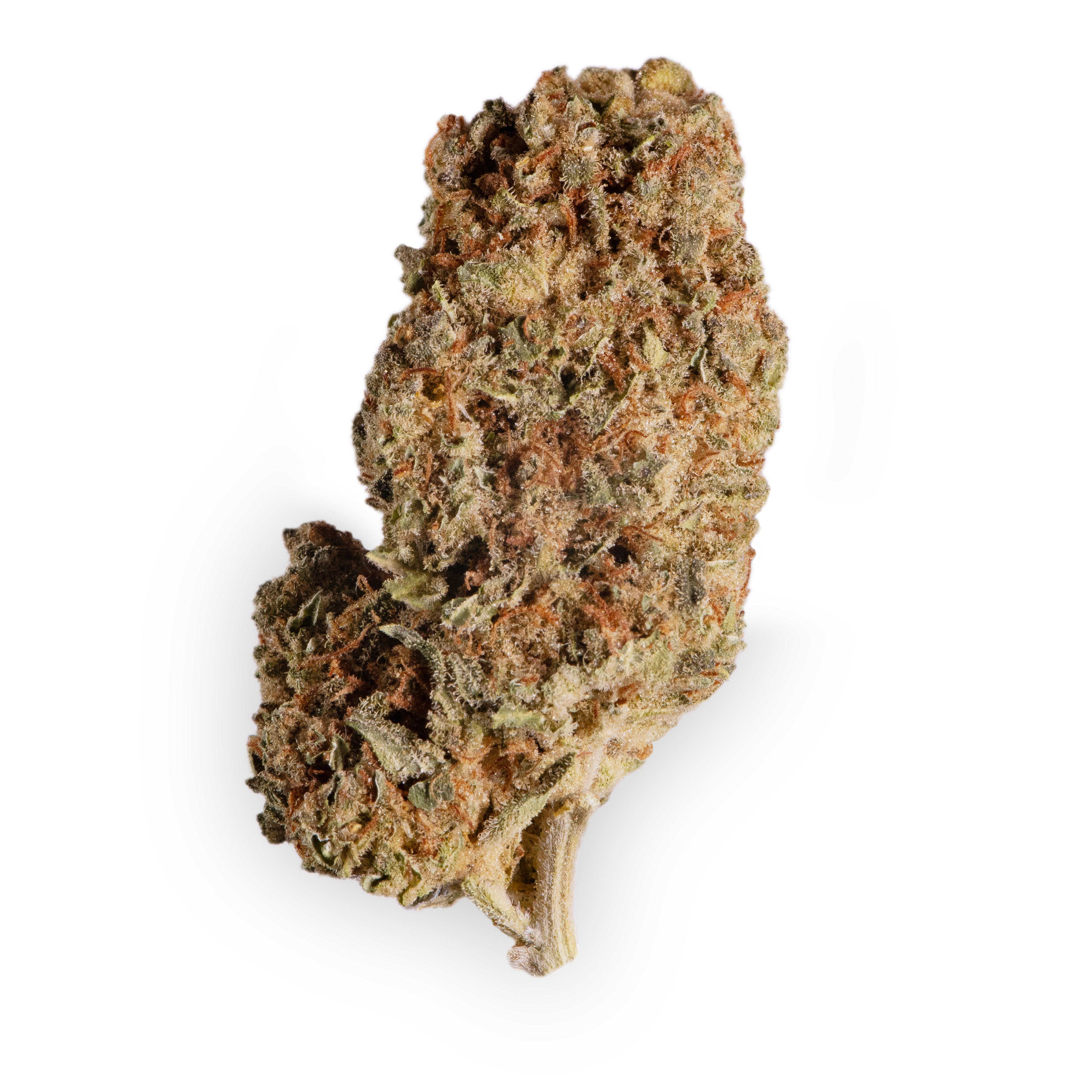 Breezy Organics GGL 20/1