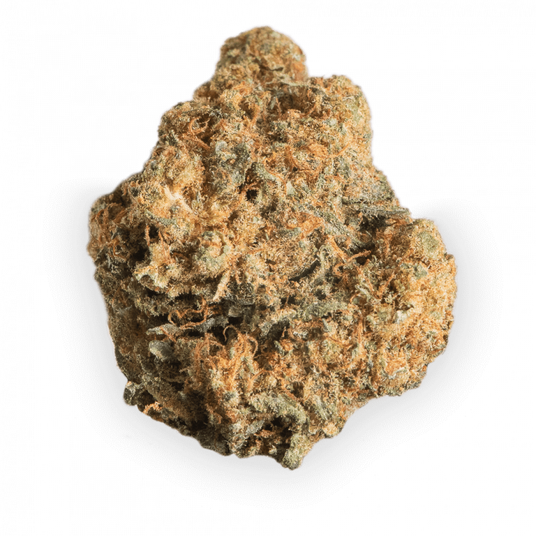 Cannamedical-Balanced-forte-Mango-Haze-Bild-1