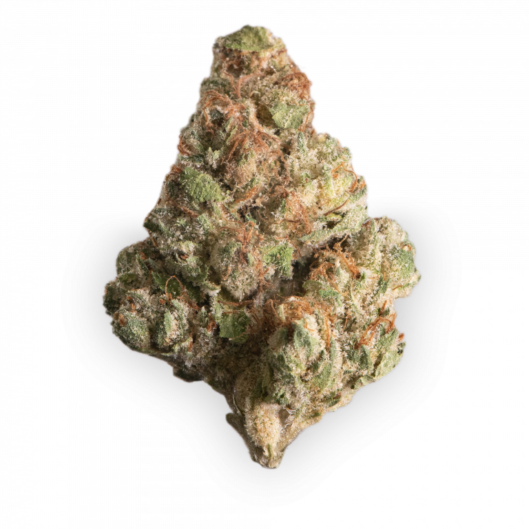 Gelato • Strain Wirkung & Besonderheiten – Bestellen | Bloomwell