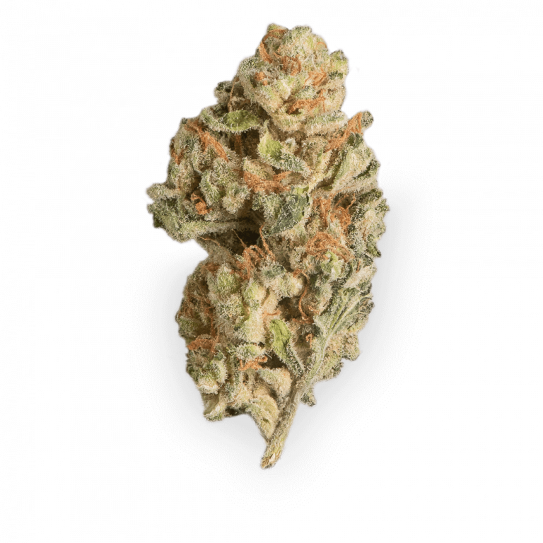 Jack Herer