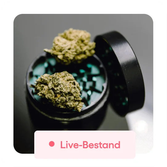 Ein schwarzer Behälter mit geöffnetem Deckel, gefüllt mit kleinen, grünen Cannabisblüten und blauen Tabletten. Im Vordergrund ist ein Label mit der Aufschrift "Live-Bestand" zu sehen. Dieses Bild könnte auf einer Webseite für Online-Rezepte im Bereich Cannabis erscheinen. Es vermittelt die Verfügbarkeit von Cannabis in digital verwalteten Beständen zur Rezeptnutzung.
